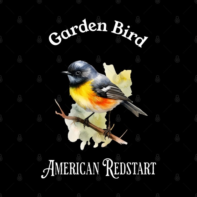 Garden Bird American RedStart by DavidBriotArt