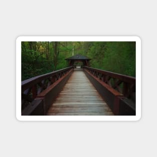 Wooden Bridge In The Forest Magnet