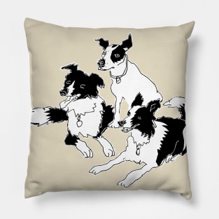 Billy, Angus and Meg Pillow