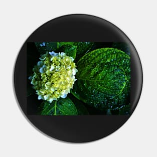 Wet Hydrangea Pin