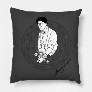 Houdini2 Pillow