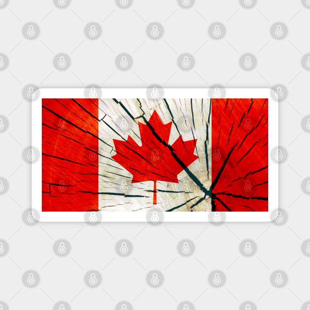 Flag of Canada – Tree Trunk Wood Magnet by DrPen