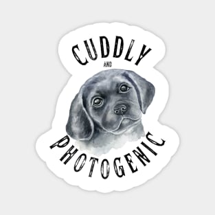 Cuddly and Photogenic Tshirt Magnet