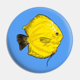 Yellow exotic fish Pin