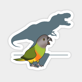 t-rex shadow - senegal parrot Magnet