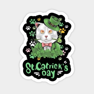 Saint Patrick's Catrick's Day Magnet