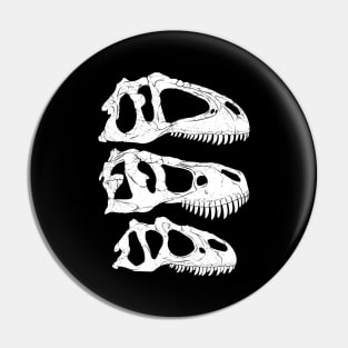 Giganotosaurus Tyrannosaurus Rex Allosaurus fossil skulls Pin