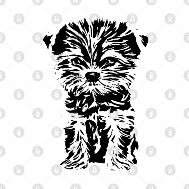 Yorkshire terrier by Nimmersatt