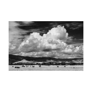 Colorado Cattle Ranch In Black and White T-Shirt