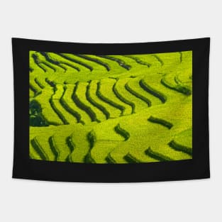 Rice Terrace2. Tapestry