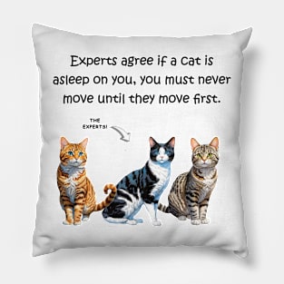 Experts agree if a cat is asleep on you, you must never move until they move first - funny watercolour cat design Pillow