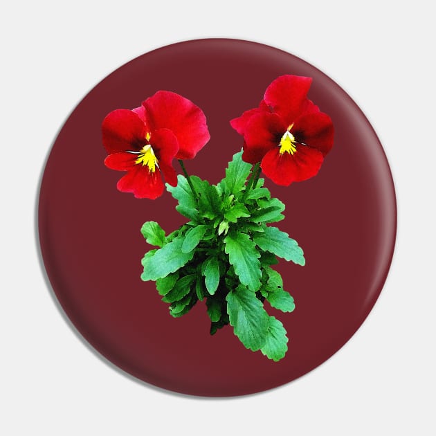 Pansies - Red Pansy Duo Pin by SusanSavad