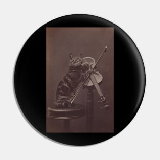 Cat on a Stool Playing a Violin Pin