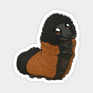 Polite Wooly Bear Caterpillar Magnet