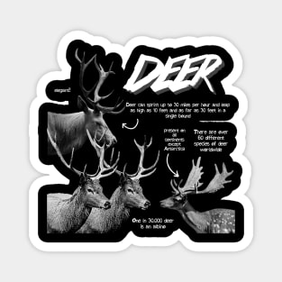 Deer Fun Facts Magnet