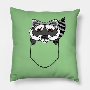 Cute Raccoon in the Pocket Pillow