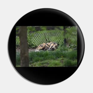 African Wild Dog Pin