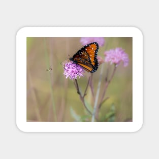 Queen Upon the Flowers Magnet