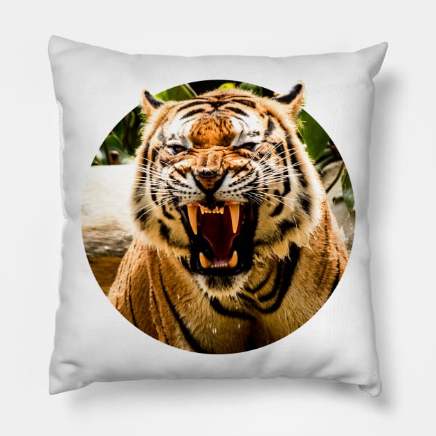 Bengal Tiger Roar Pillow by onibug