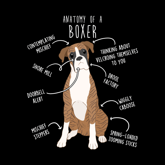 Boxer Dog Brindle Anatomy by Psitta