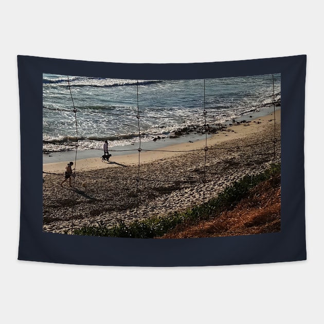 Dog walk by sea Tapestry by mindprintz