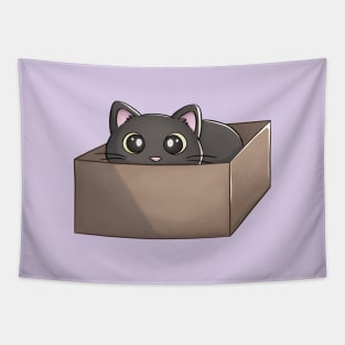 Black Cat In A Box Tapestry