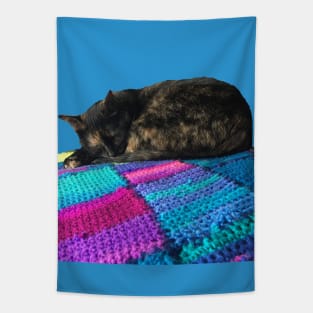 Sleepy Kitty Tapestry