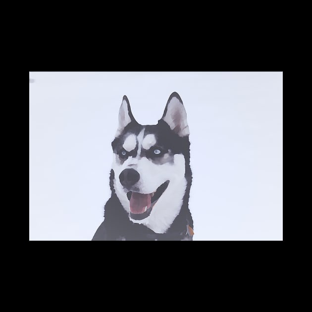 Siberian Husky painting effect by Artaron