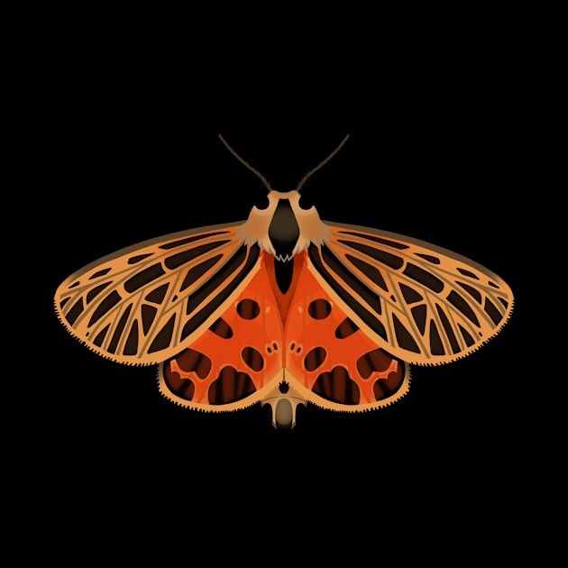 Tiger Moth by lqmaple