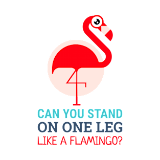 talented flamingo (can you stand on one leg like a flamingo?) T-Shirt