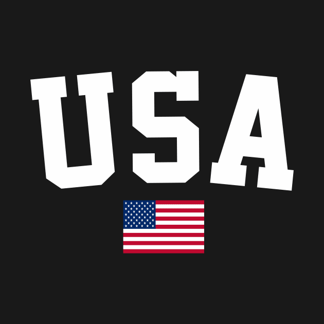 USA Flag American Flag by Aspita