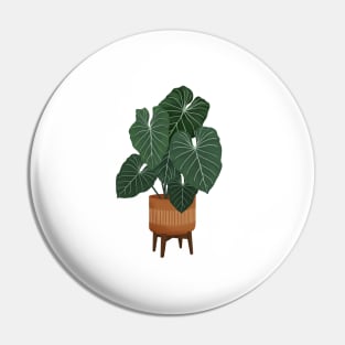 Colocasia Plant Illustration Pin