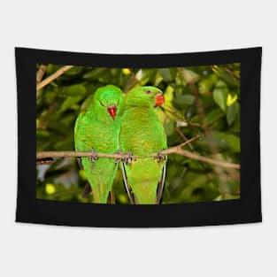 Scaly-breasted Lorikeets Tapestry