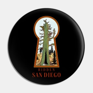 Colored Hidden San Diego Palomar Mountain Pin