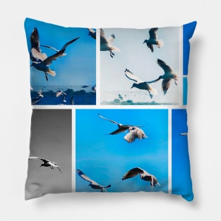 Seagulls compilation Pillow