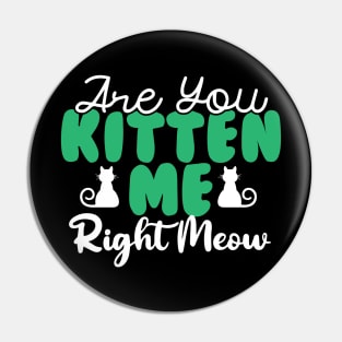 Are You Kitten Me Right Meow Pin