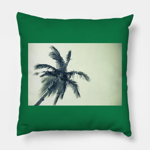 Palm tree against sky low angle point of view monochrome faded image. Pillow by brians101