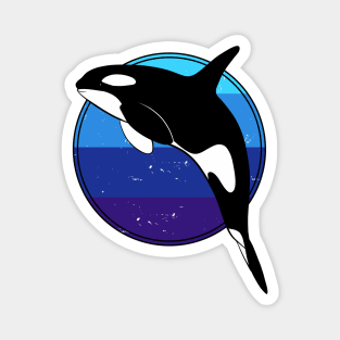 Orca. Killer whale Magnet