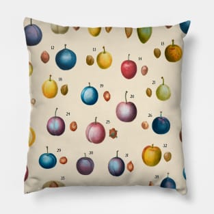 Prunus domestica Pillow