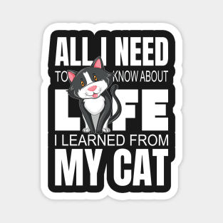 All I Need To Know About Life I Learned From My Cat Magnet