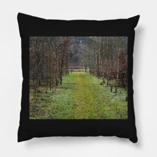 Forest path Pillow