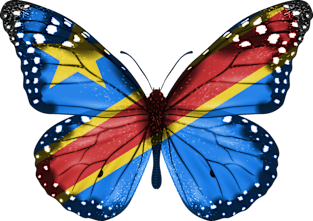 Congolese Flag  Butterfly - Gift for Congolese From Democratic Republic Of Congo Magnet