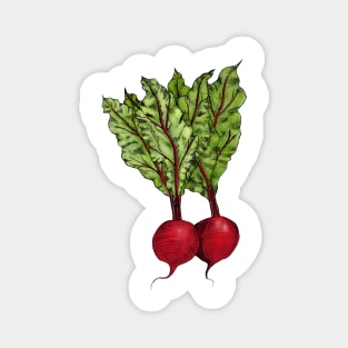 Beets Illustration Vintage Style Magnet