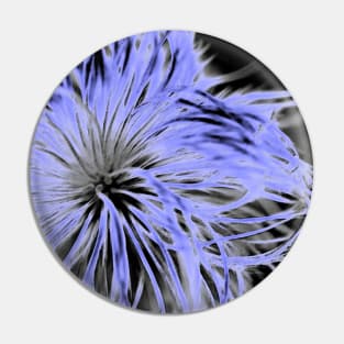 Fluffy Allium Blue Pin