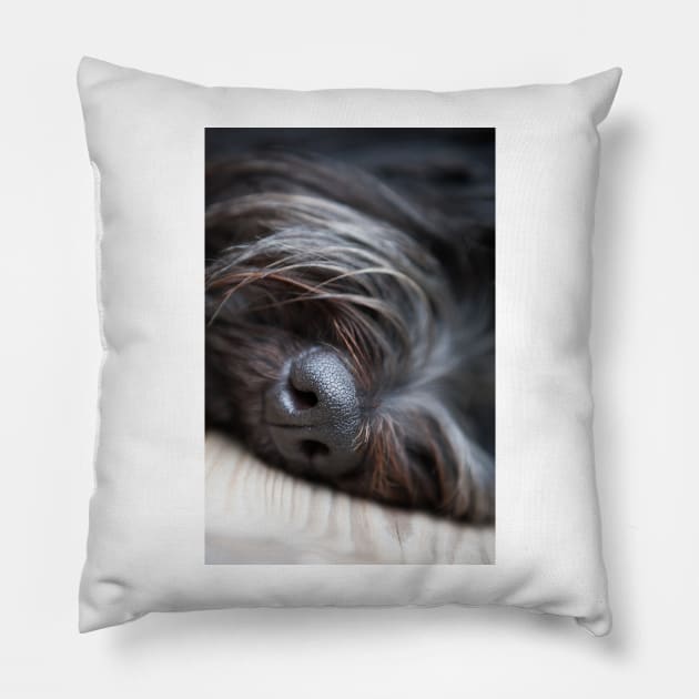 Black Nose Pillow by ansaharju