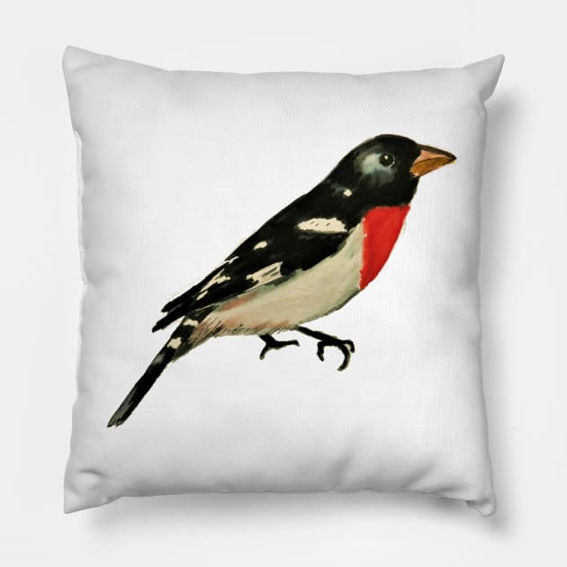 Rose Breasted Grosbeak Pillow by julyperson