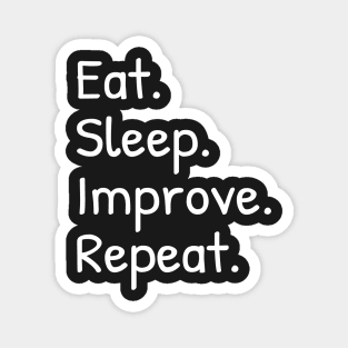 Eat Sleep Improve Repeat Funny Magnet