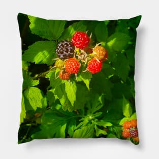 Wild Black Raspberries Pillow