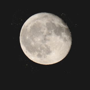 Full moon night sky the moon T-Shirt