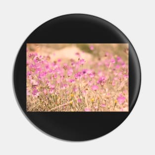 Wild pink meadow flowers, nature photography, delicate colors Pin